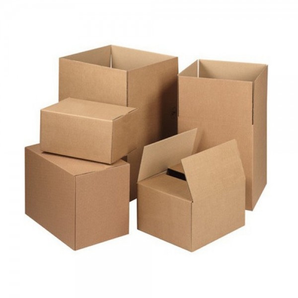 55c267378bffbac3cba39cba657bc2ef_1726707581_3945.jpg 55c267378bffbac3cba39cba657bc2ef_1726707581_3945.jpg